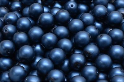 111.19.001 8 x 8 mm 02010-70139 250� (~372��)