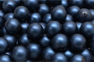 111.19.001 10 x 10 mm 02010-70139 250� (~192��)