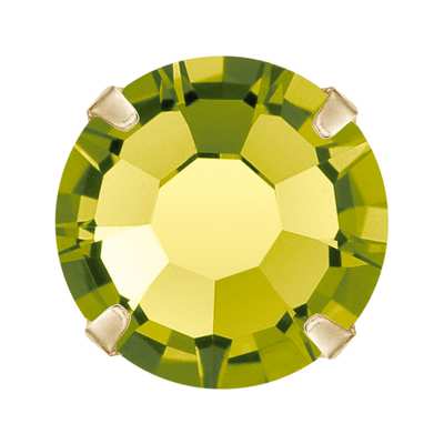 719.39.210 ss 10 Olivine / Gold SC - 1440 